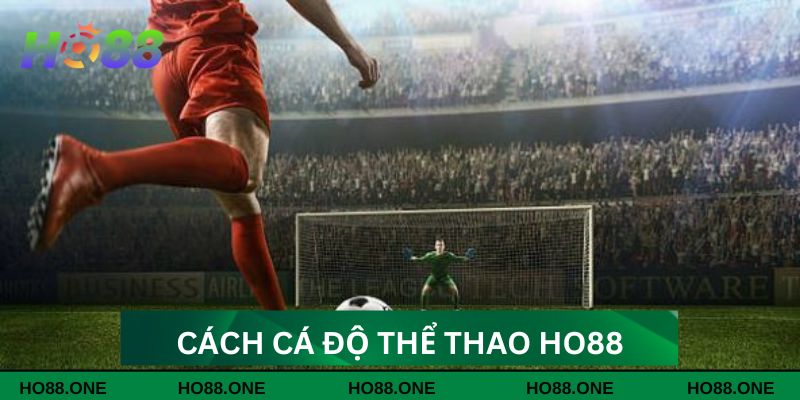Từng bước để tham gia cá độ thú vị nhất Từng bước để tham gia cá độ thú vị nhất