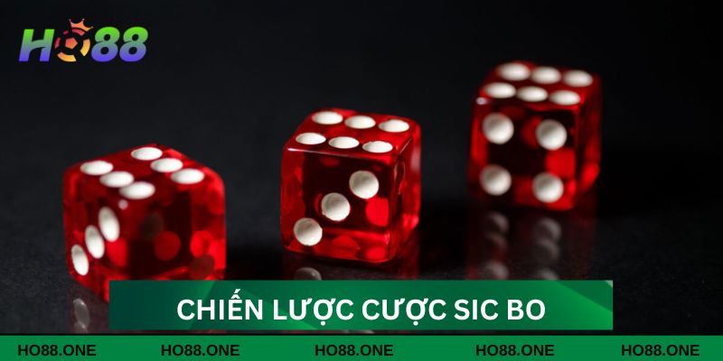 Mẹo cược game ăn thưởng lớn Mẹo cược game ăn thưởng lớn