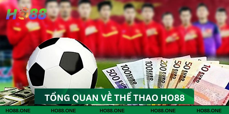 Khám phá sơ lược sanh thể thao Ho88 cực hot Khám phá sơ lược sanh thể thao Ho88 cực hot