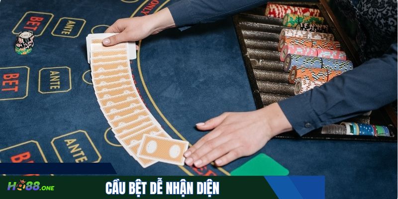 Cầu bệt dễ nhận diện